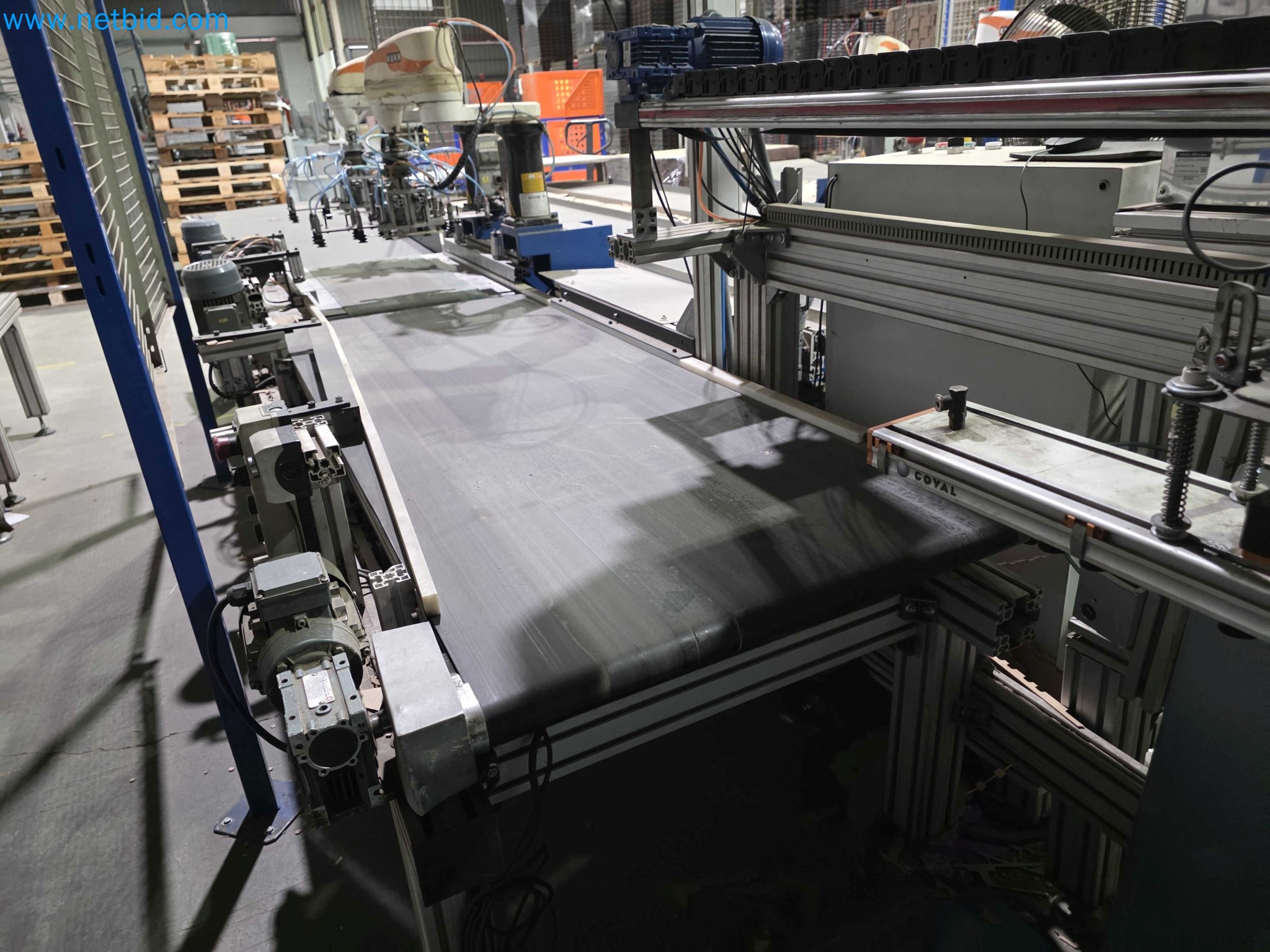 Likvidace podniku - Použité balicí stroje na balení ovoce a zeleniny (výrobní linka MDF)-12