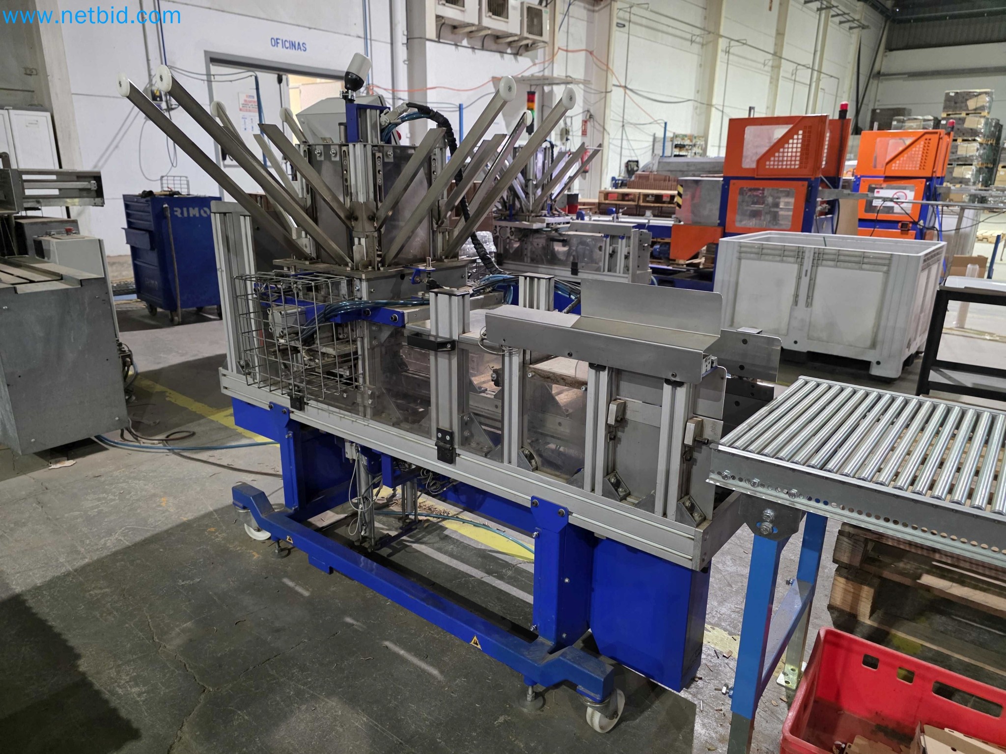 Likvidace podniku - Použité balicí stroje na balení ovoce a zeleniny (výrobní linka MDF)-3