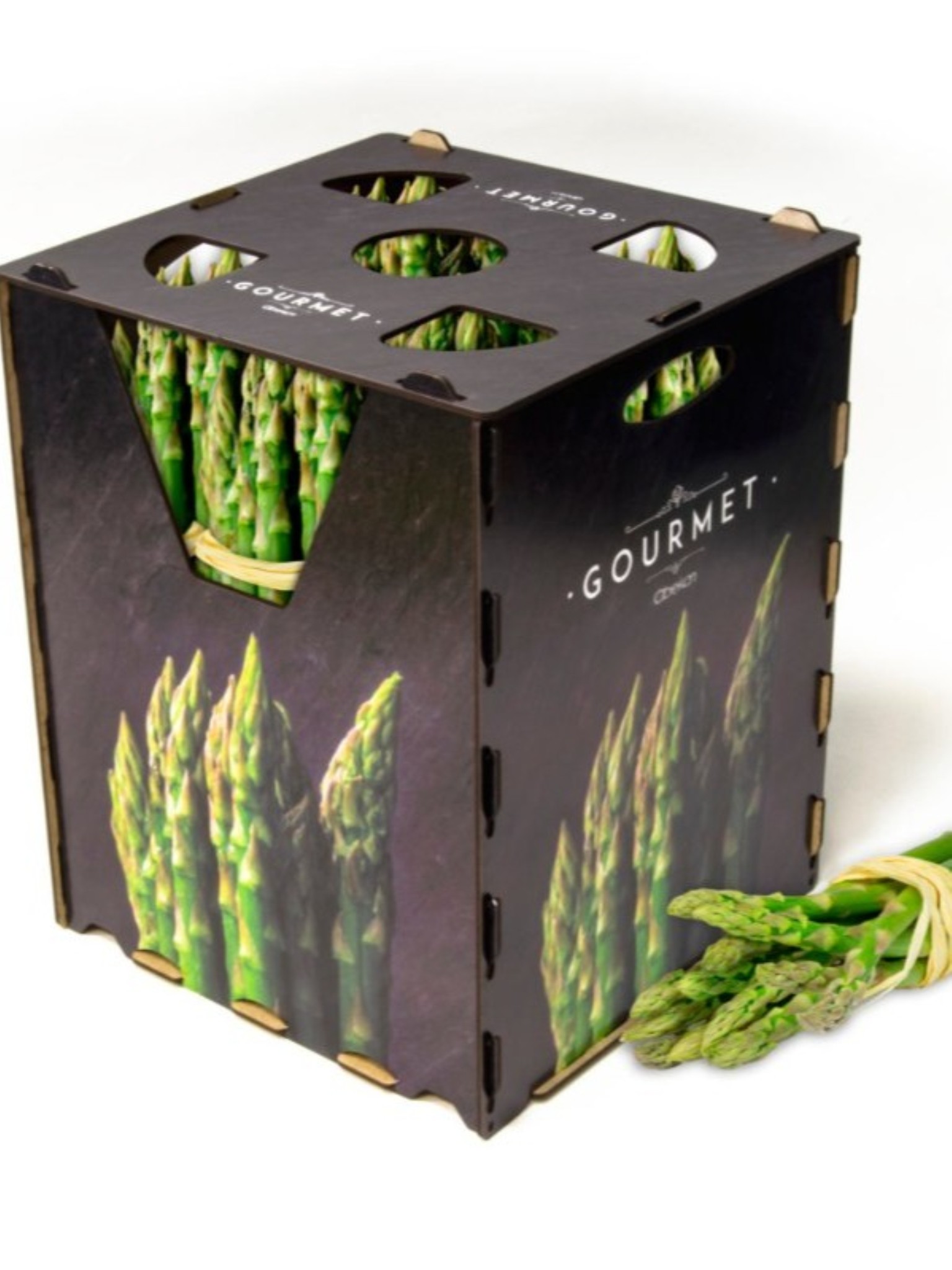 Factory Closure Auction – Used Packaging Machinery for Fresh Produce, (MDF / Wood Fiber) Packaging Production Line-12