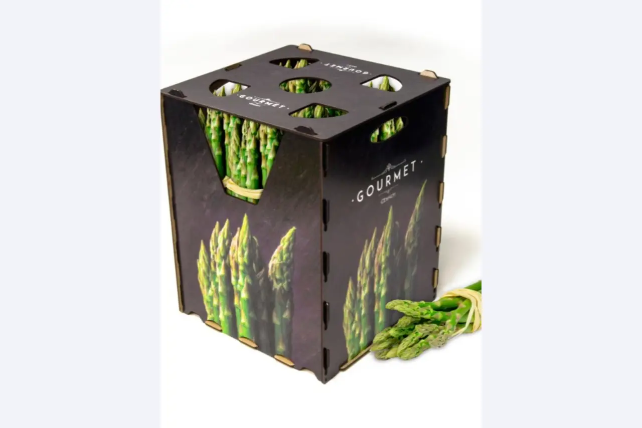 Factory Closure Auction – Used Packaging Machinery for Fresh Produce, (MDF / Wood Fiber) Packaging Production Line-12