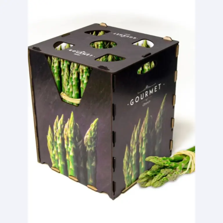 Factory Closure Auction – Used Packaging Machinery for Fresh Produce, (MDF / Wood Fiber) Packaging Production Line-12