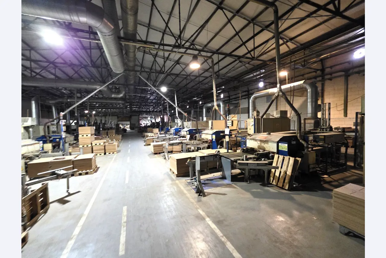 Factory Closure Auction – Used Packaging Machinery for Fresh Produce, (MDF / Wood Fiber) Packaging Production Line-6