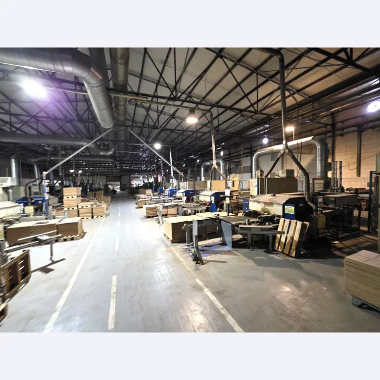 Factory Closure Auction – Used Packaging Machinery for Fresh Produce, (MDF / Wood Fiber) Packaging Production Line-6