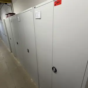 Posten Blechschränke überw. Delta-V