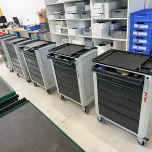 5 Werkzeugwagen Holex