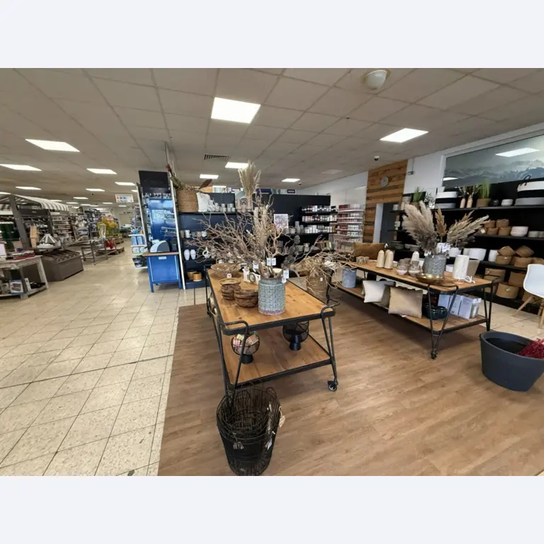 Sale of inventories of Haas Bau- und Heimwerkermarkt GmbH-5