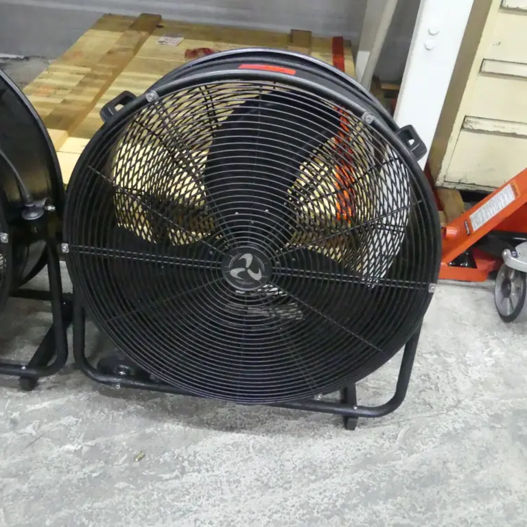 Fan