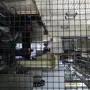 thumbnail-Centres d'usinage, machines d'usinage des métaux et lignes de production de l'industrie automobile-3