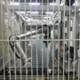 thumbnail-Centra obróbcze, maszyny do obróbki metalu i linie produkcyjne z branży motoryzacyjnej-3