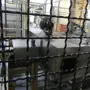 thumbnail-Centros de mecanizado, máquinas para trabajar el metal y líneas de producción de la industria del automóvil-7