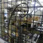 thumbnail-Centros de mecanizado, máquinas para trabajar el metal y líneas de producción de la industria del automóvil-8