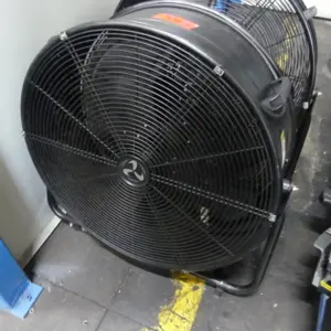 Fan