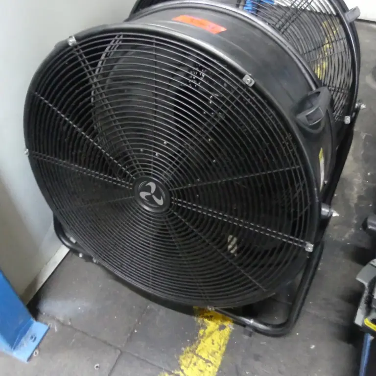 Fan
