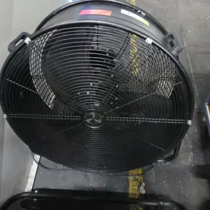 Fan