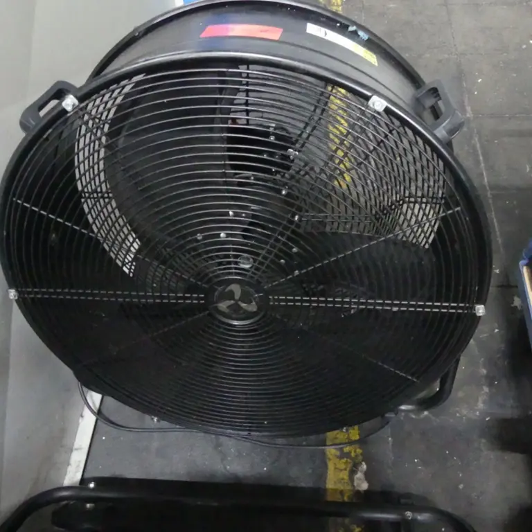 Fan