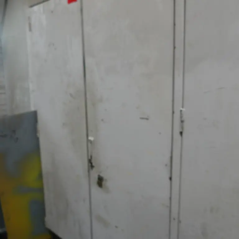 Armoire à portes battantes en acier