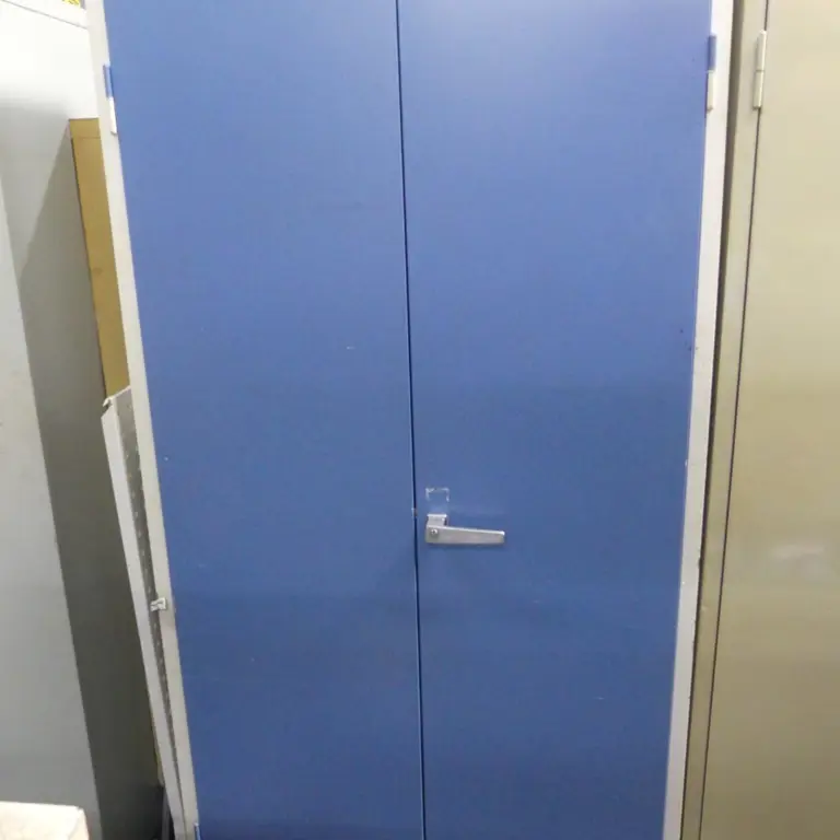 Armoire à portes battantes en acier