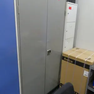 Armoire à portes battantes en acier