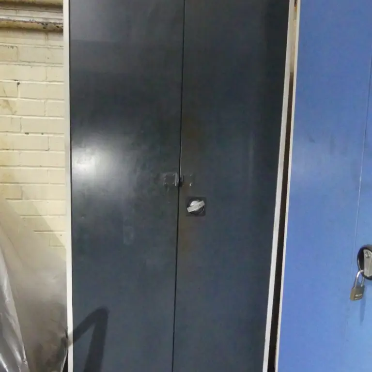 Armario con puertas batientes de acero