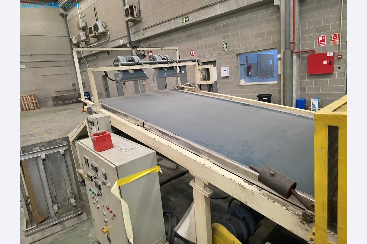 Factory Closure Auction: Plastic Sheet Extrusion Lines (PP/PE & PET)
-25