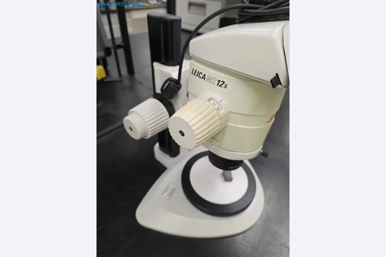 null-10