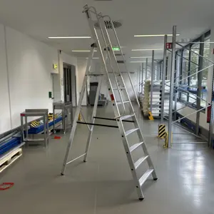 Folding ladder Munk