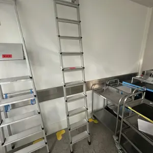 Leaning ladder