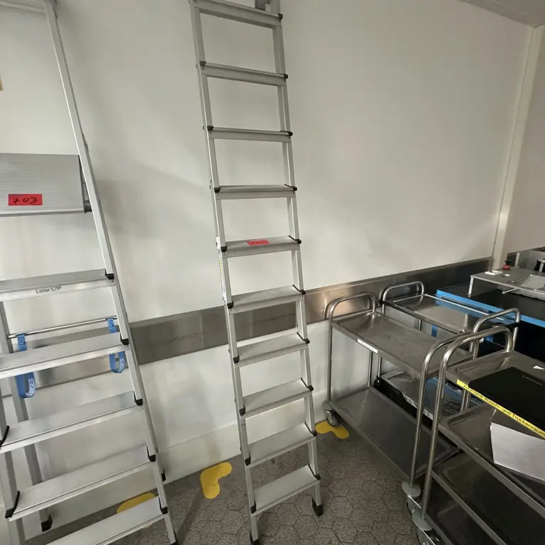 Leaning ladder