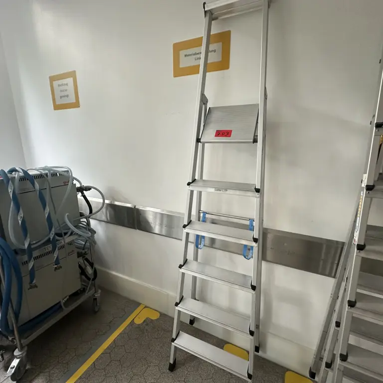 Folding ladder