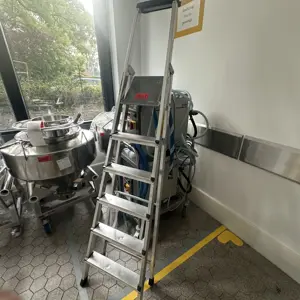 Folding ladder