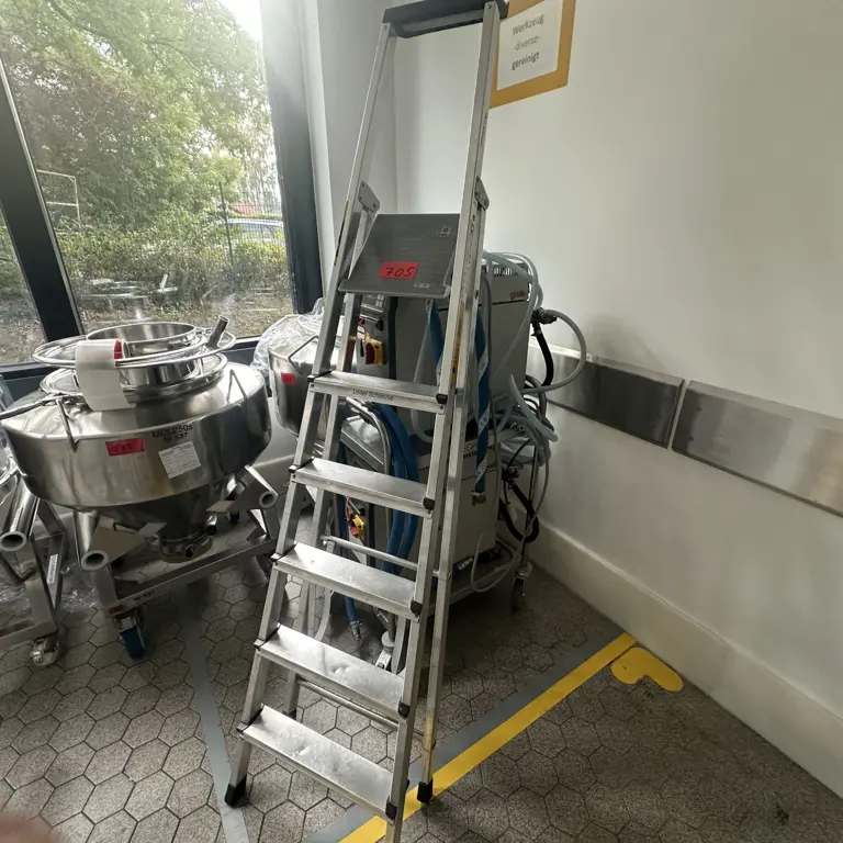 Folding ladder