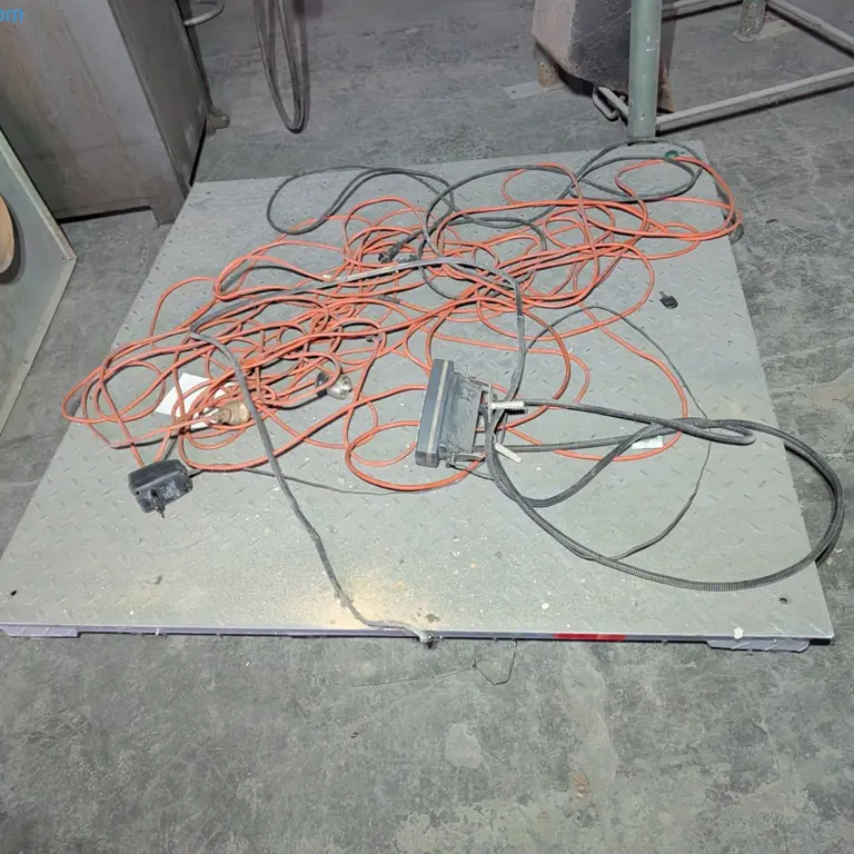 Platform scales Rinstrum R320