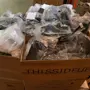 thumbnail-Handelsunternehmen, mit Allroundssotiment-12