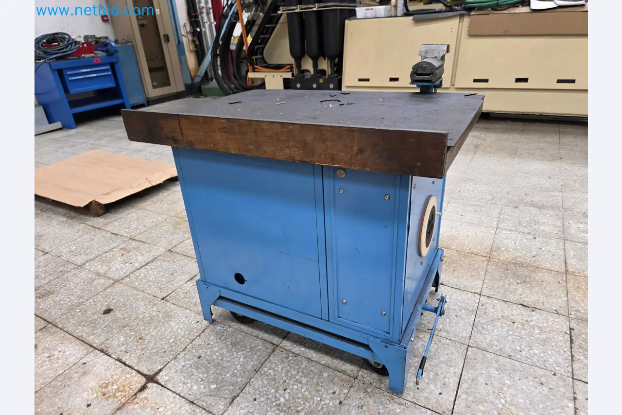 Tromosa Asset Sale (Troqueles Y Moldes De Galicia, Sa): Plastic Injection machinery and accessories-6