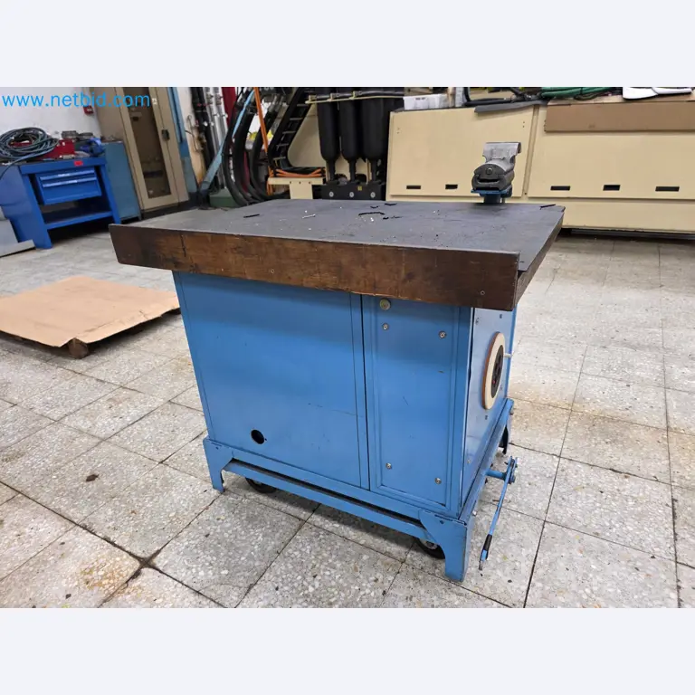 Tromosa Asset Sale (Troqueles Y Moldes De Galicia, Sa): Plastic Injection machinery and accessories-6