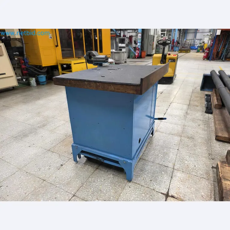 Tromosa Asset Sale (Troqueles Y Moldes De Galicia, Sa): Plastic Injection machinery and accessories-7