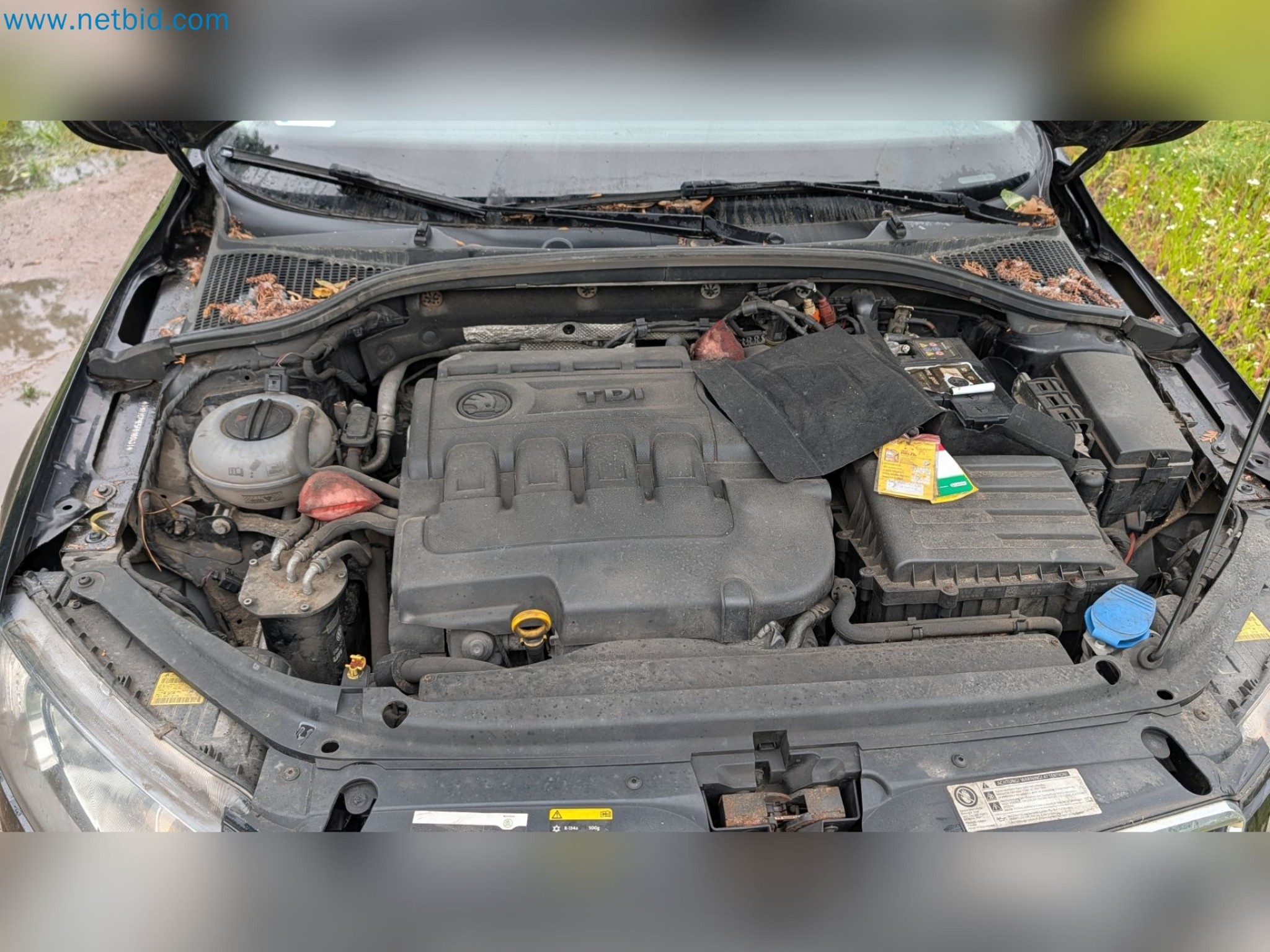 Used Vehicles from Company Liquidation-35