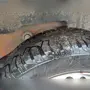 thumbnail-Used Vehicles from Company Liquidation-18