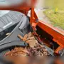 thumbnail-Used Vehicles from Company Liquidation-30