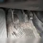 thumbnail-Used Vehicles from Company Liquidation-32