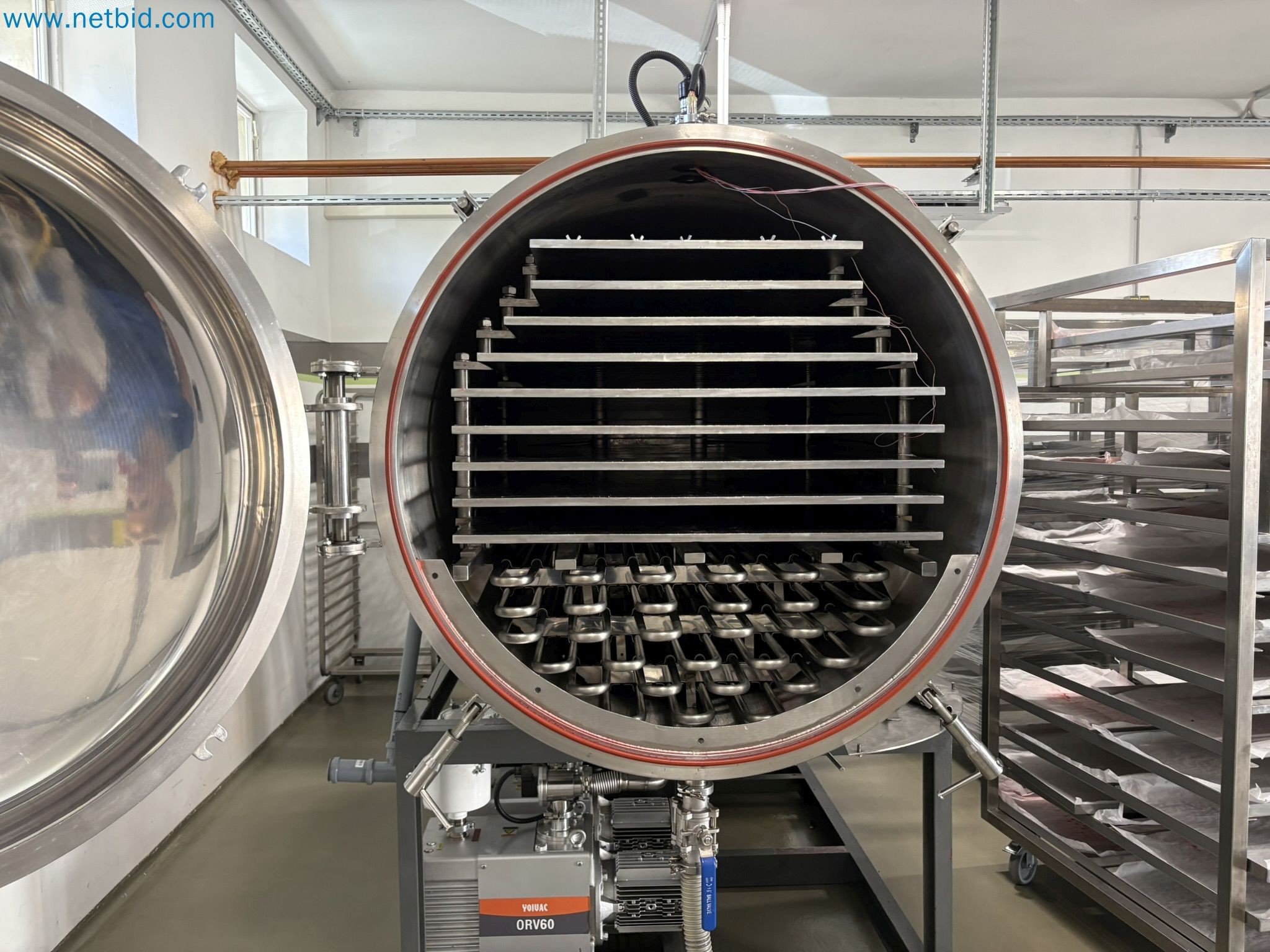 Equipment for freeze-drying fruit
-12