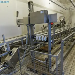 Automatic belt conveyor Velati