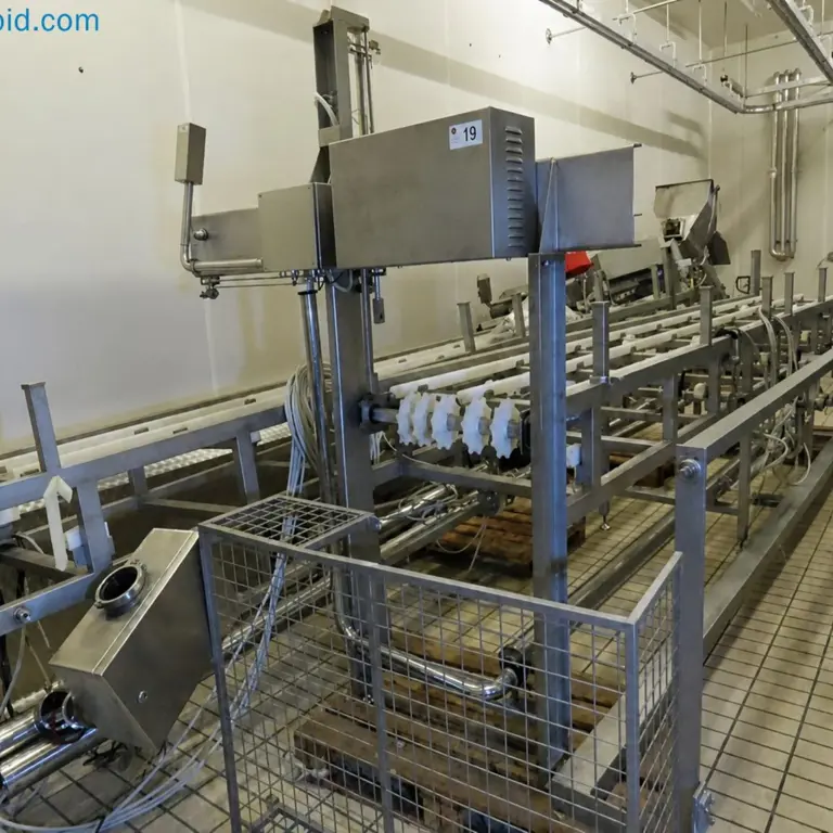 Automatic belt conveyor Velati