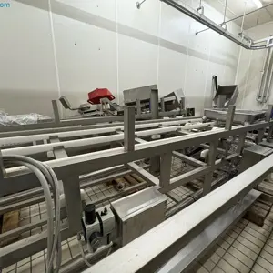 Belt conveyor with support frame Velati EEND-200x500x2350H