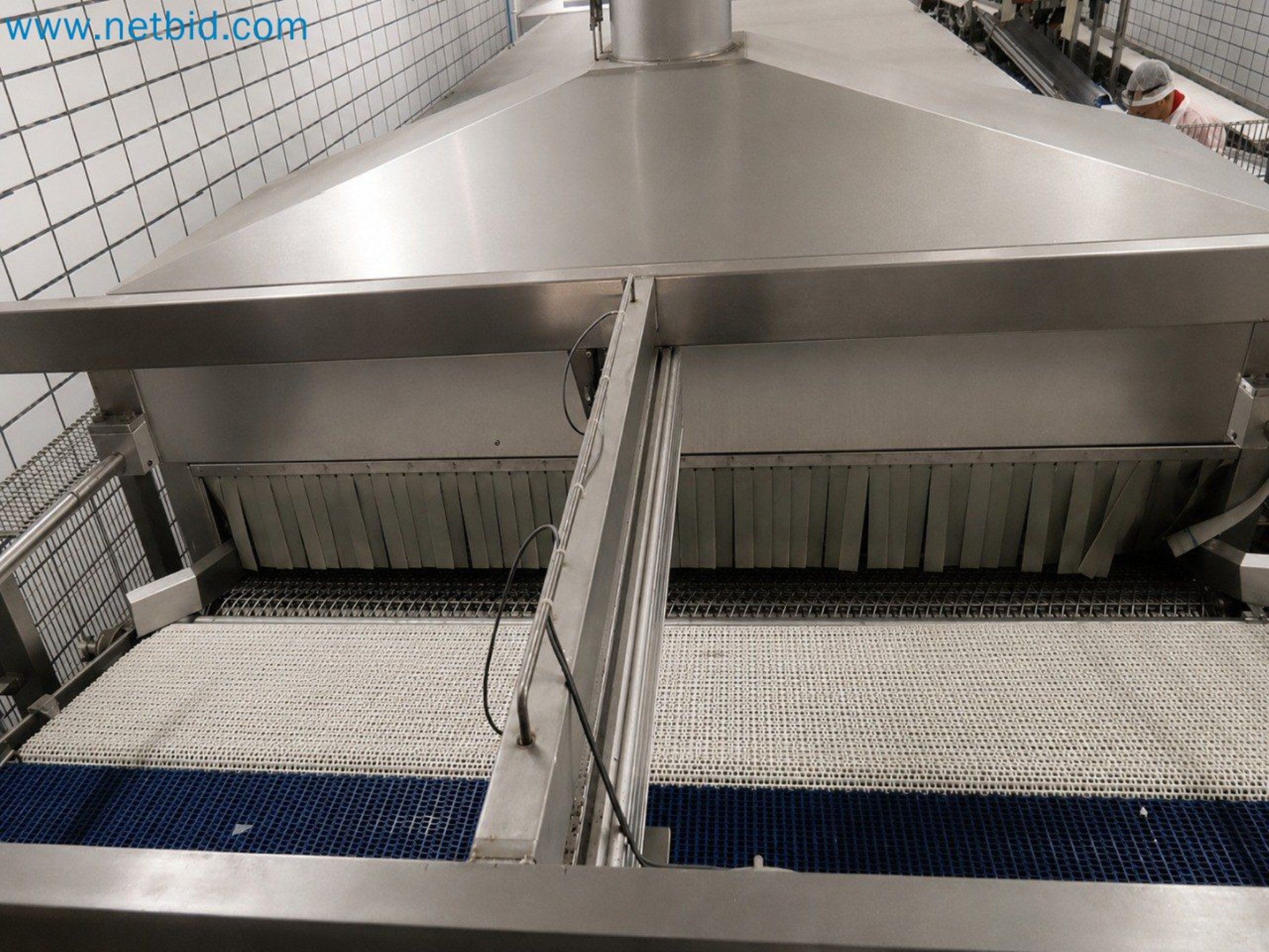 Meat and poultry processing machinery and equipment
-18