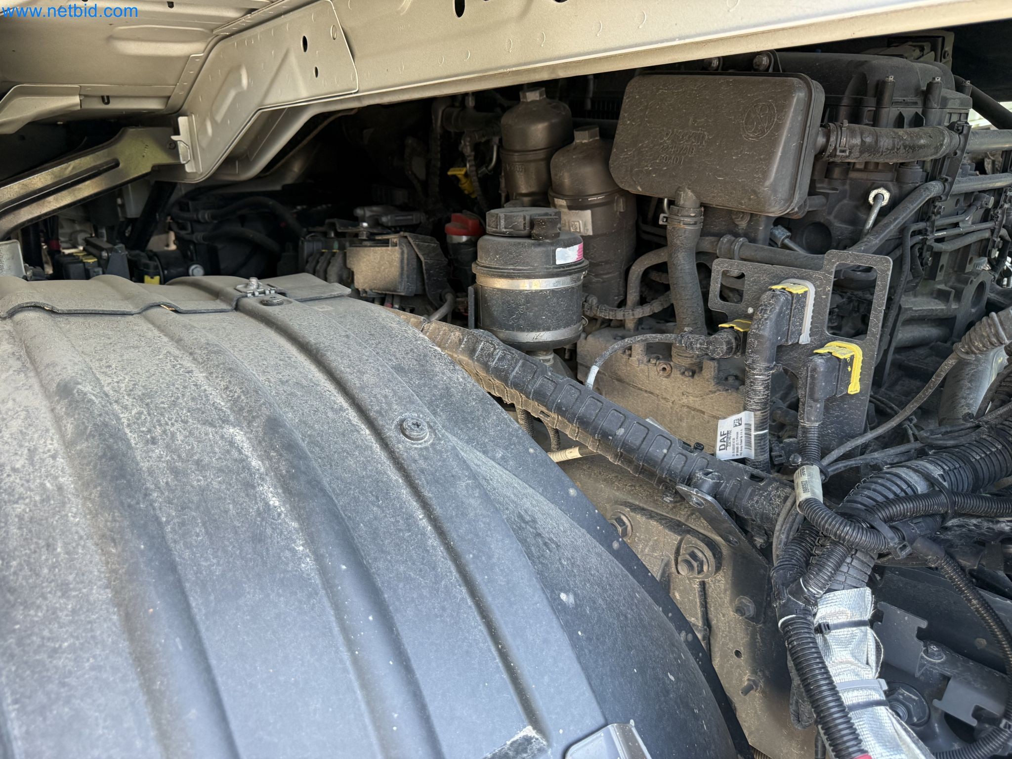 DAF XF 480 FAN NGD-31