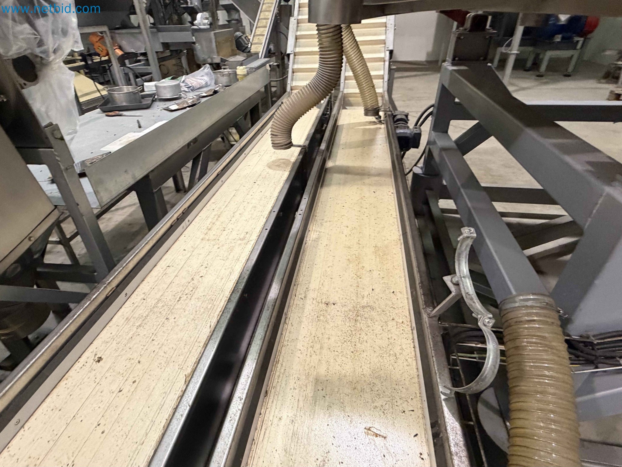 Nussverarbeitungsanlage zum Schälen, Trocknen und Verpacken-106