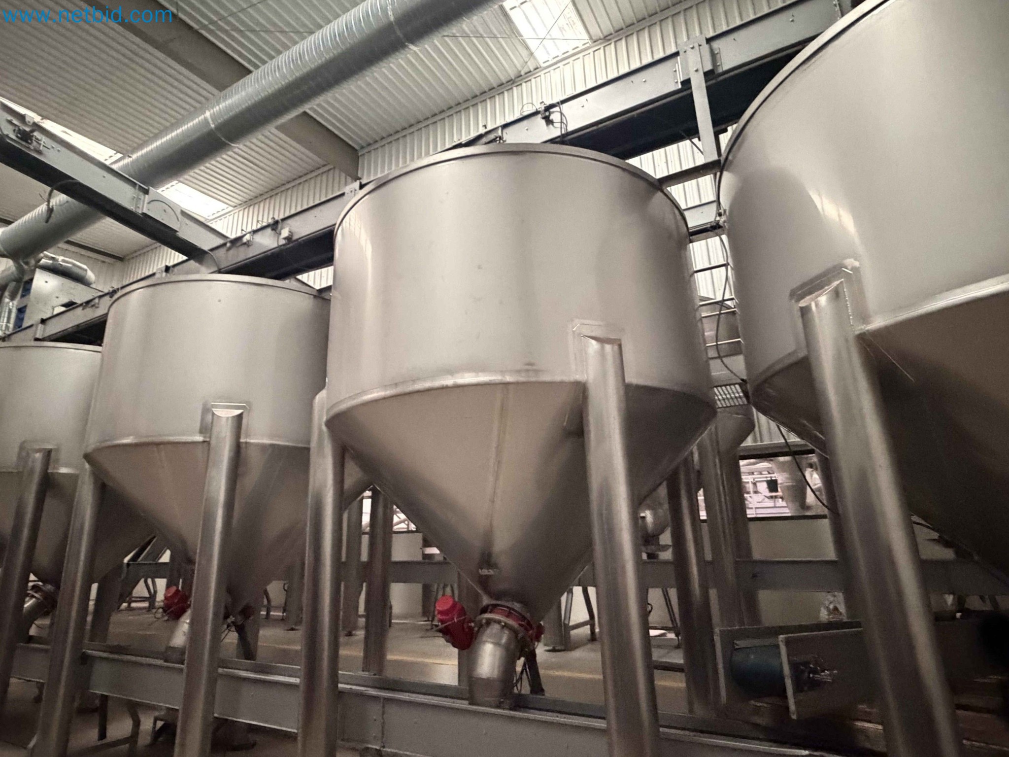 Nussverarbeitungsanlage zum Schälen, Trocknen und Verpacken-10