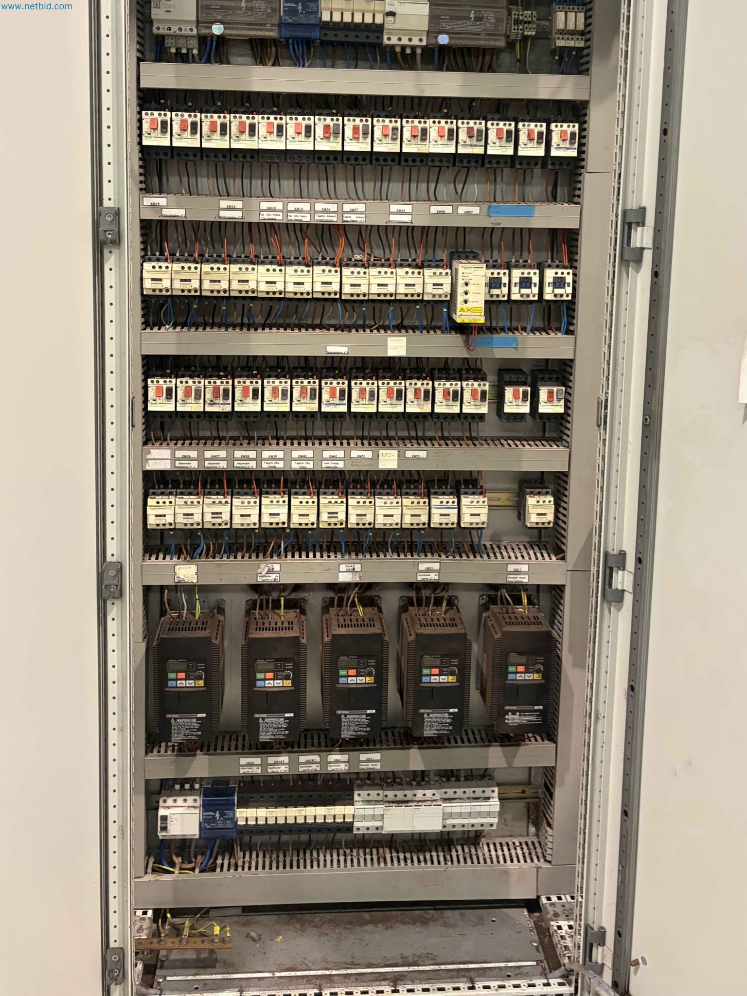 Nussverarbeitungsanlage zum Schälen, Trocknen und Verpacken-189