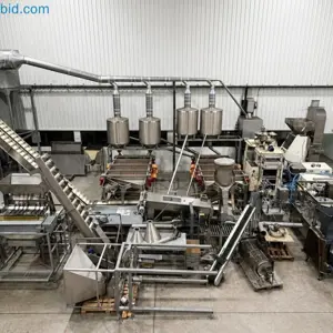 Komplette Industrieanlage zur Verarbeitung, Schälung und Verpackung von Nüssen